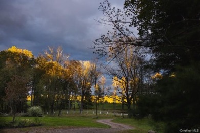 Beautifiul Contemorary Log Home - photo 30