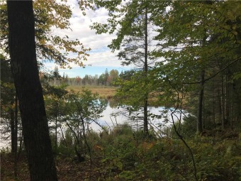 (private lake, pond, creek) Acreage For Sale in Cable Wisconsin
