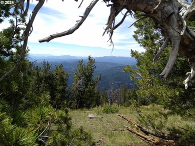 (private lake, pond, coastal) Acreage For Sale in Sumpter Oregon