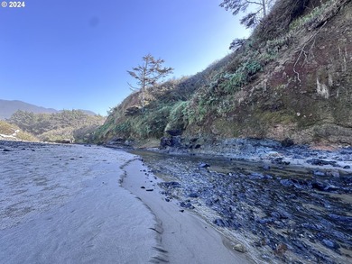 Owner is willing to seller-carry. 18 Acres of Prime Forest Land - photo 4