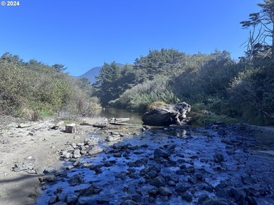 Owner is willing to seller-carry. 18 Acres of Prime Forest Land - photo 5