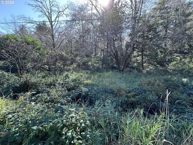Owner is willing to seller-carry. 18 Acres of Prime Forest Land - photo 8