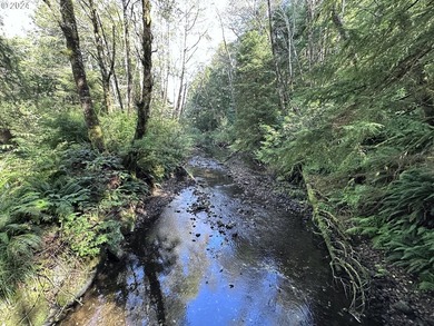 Owner is willing to seller-carry. 18 Acres of Prime Forest Land - photo 10