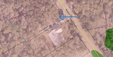 Towering oak trees set the stage for this beautiful homesite - photo 2