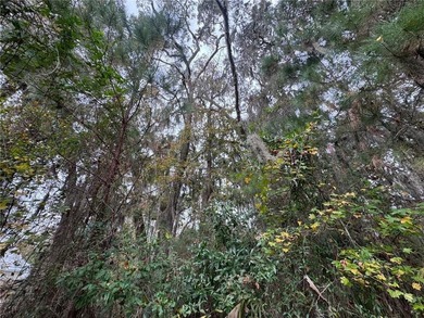 Towering oak trees set the stage for this beautiful homesite - photo 4