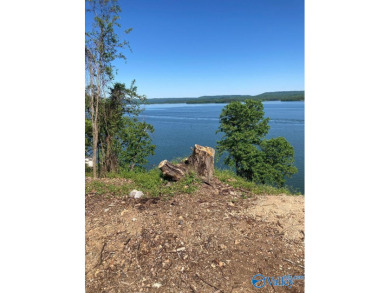 Lake Guntersville Lot For Sale in Scottsboro Alabama