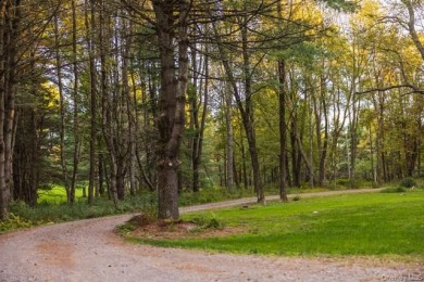 Beautifiul Contemorary Log Home - photo 29