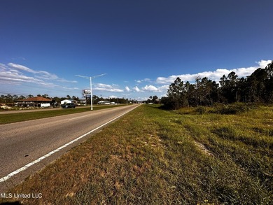6054 Acres on busy HWY 603. 17,000 cars pass this location - photo 5