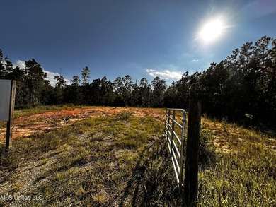 6054 Acres on busy HWY 603. 17,000 cars pass this location - photo 6