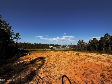6054 Acres on busy HWY 603. 17,000 cars pass this location - photo 7