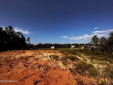 6054 Acres on busy HWY 603. 17,000 cars pass this location - photo 9