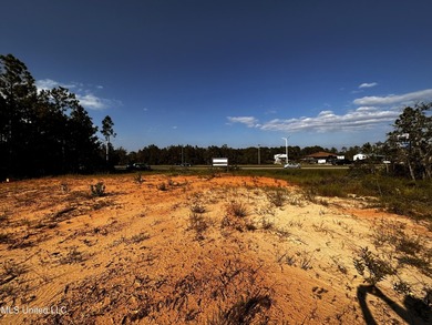 6054 Acres on busy HWY 603. 17,000 cars pass this location - photo 10