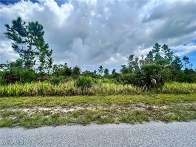 Port Charlotte Waterway Lakes Area Lot For Sale in Port Charlotte Florida