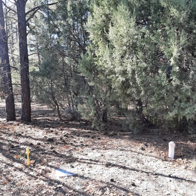 Lake Lot For Sale in Show Low, Arizona