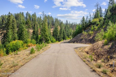 Lake Lot For Sale in Harrison, Idaho