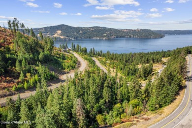 Lake Lot For Sale in Harrison, Idaho