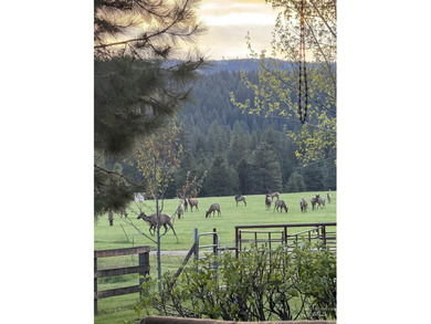 Peaceful country living in the heart of the mountains. This gem - photo 34
