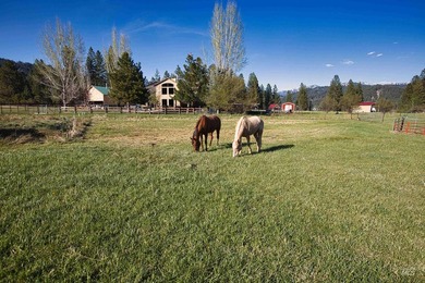 Peaceful country living in the heart of the mountains. This gem - photo 47
