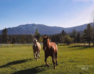Peaceful country living in the heart of the mountains. This gem - photo 48
