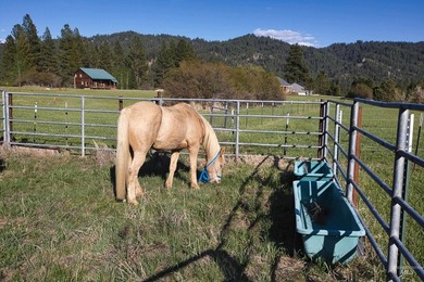 Peaceful country living in the heart of the mountains. This gem - photo 49