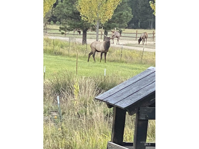 Peaceful country living in the heart of the mountains. This gem - photo 50