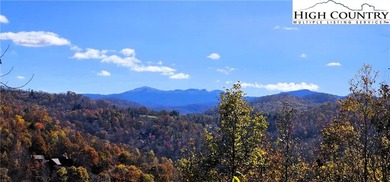 (private lake, pond, coastal) Acreage For Sale in Elk Park North Carolina