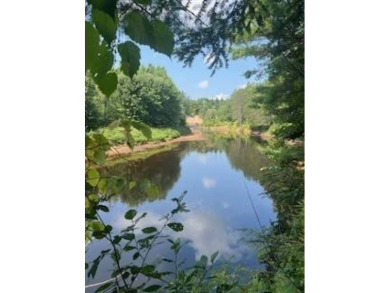 Lake Acreage For Sale in Pitcairn, New York