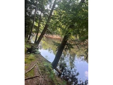 20.6 ACRES PITCAIRN, ST LAWRENCE COUNTY, NY Over 2060 feet of - photo 2
