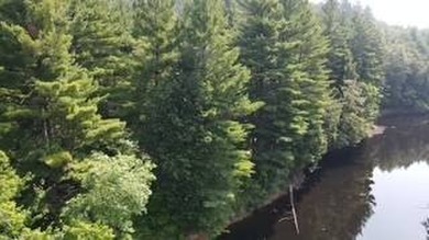 20.6 ACRES PITCAIRN, ST LAWRENCE COUNTY, NY Over 2060 feet of - photo 4