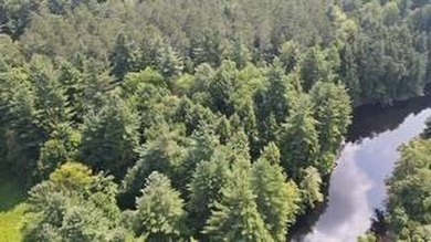 20.6 ACRES PITCAIRN, ST LAWRENCE COUNTY, NY Over 2060 feet of - photo 5