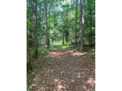 20.6 ACRES PITCAIRN, ST LAWRENCE COUNTY, NY Over 2060 feet of - photo 6