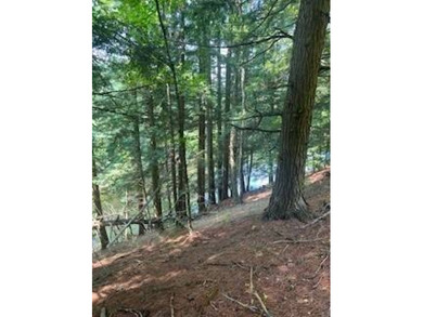 20.6 ACRES PITCAIRN, ST LAWRENCE COUNTY, NY Over 2060 feet of - photo 7