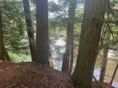 20.6 ACRES PITCAIRN, ST LAWRENCE COUNTY, NY Over 2060 feet of - photo 8