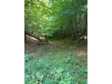 20.6 ACRES PITCAIRN, ST LAWRENCE COUNTY, NY Over 2060 feet of - photo 9
