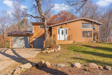 Lake Home For Sale in Southside Twp, Minnesota