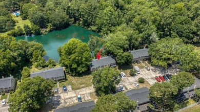 Welcome to this unique opportunity to own a beautifully - photo 38