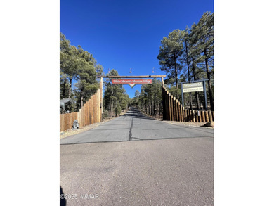 Lake Lot For Sale in Show Low, Arizona