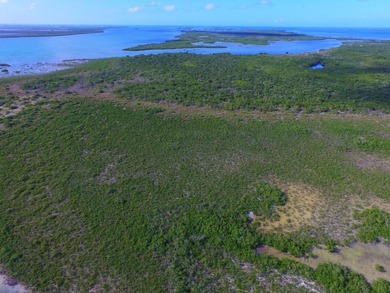 Offshore island 4 acre lot in the heart of the Great White Heron - photo 11