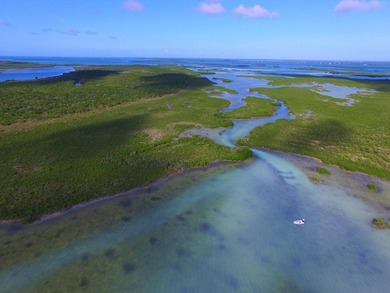 Offshore island 4 acre lot in the heart of the Great White Heron - photo 13