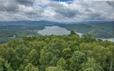 Beautiful Mountain Property with potential for STUNNING long - Lake Acreage For Sale in Butler, Tennessee