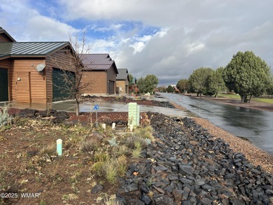 Lake Lot For Sale in Show Low, Arizona