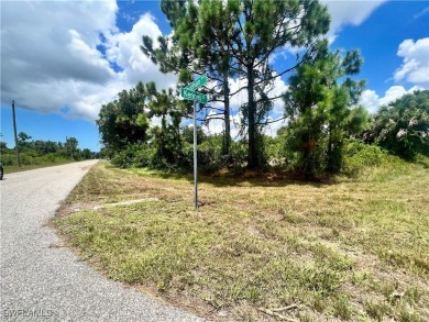 Port Charlotte Waterway Lakes Area Lot For Sale in Port Charlotte Florida
