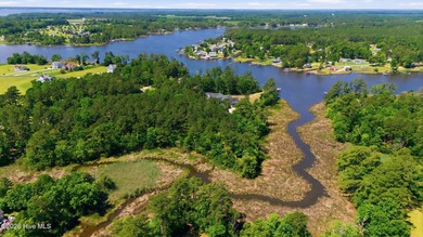 Canal front homesite in the Dawson Creek subdivision - minutes - photo 16