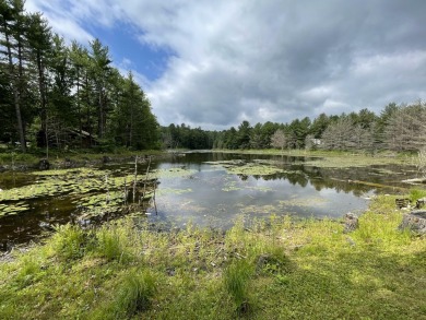 Lake Arrowhead / Buhl Lake Lot For Sale in Gaylord Michigan