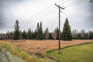 Salcha River Acreage For Sale in Delta Junction Alaska