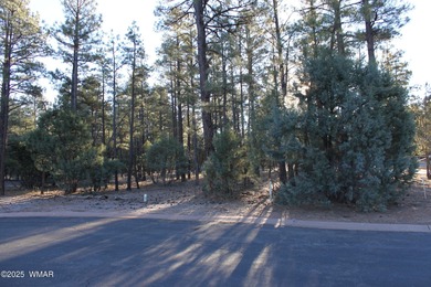 Lake Lot For Sale in Show Low, Arizona