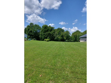 .399 acre water access lot at Lake Waynoka - photo 3