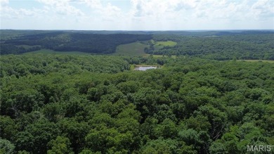 Lake Lot For Sale in Bourbon, Missouri