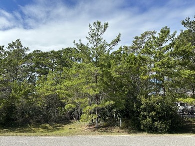 This is your opportunity to own one of the few remaining lots in - photo 11