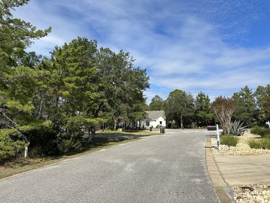 This is your opportunity to own one of the few remaining lots in - photo 13